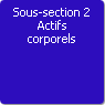Sous-section 2. Actifs corporels