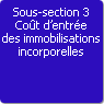 Sous-section 3. Cot d'entre des immobilisations incorporelles