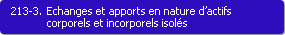 213-3. Echanges et apports en nature d'actifs corporels et incorporels isols