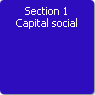 Section 1. Capital social