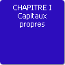 CHAPITRE I. Capitaux propres