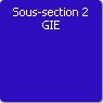 Sous-section 2. GIE