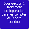 Sous-section 1. Traitement de l'opration dans les comptes de l'entit scinde