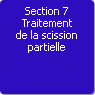 Section 7. Traitement de la scission partielle
