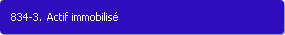 834-3. Actif immobilis