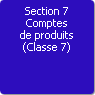 Section 7. Comptes de produits (Classe 7)