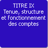 TITRE IX. Tenue, structure et fonctionnement des comptes