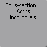 Sous-section 1. Actifs incorporels