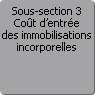 Sous-section 3. Cot d'entre des immobilisations incorporelles