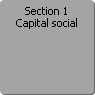 Section 1. Capital social