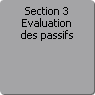 Section 3. Evaluation des passifs