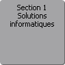 Section 1. Solutions informatiques