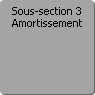 Sous-section 3. Amortissement