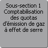 Sous-section 1. Comptabilisation des quotas d'mission de gaz  effet de serre