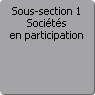 Sous-section 1. Sociétés en participation