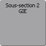 Sous-section 2. GIE