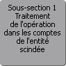 Sous-section 1. Traitement de l'opration dans les comptes de l'entit scinde
