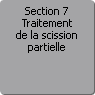 Section 7. Traitement de la scission partielle