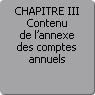 CHAPITRE III. Contenu de l'annexe des comptes annuels