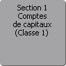 Section 1. Comptes de capitaux : capitaux propres, autres fonds propres, emprunts et dettes assimiles (Classe 1)