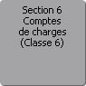 Section 6. Comptes de charges (Classe 6)