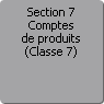 Section 7. Comptes de produits (Classe 7)