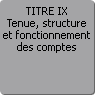 TITRE IX. Tenue, structure et fonctionnement des comptes